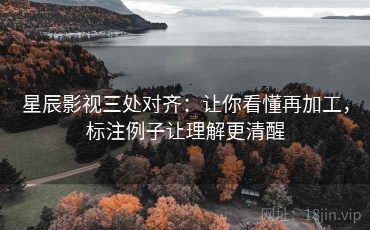 星辰影视三处对齐：让你看懂再加工，标注例子让理解更清醒